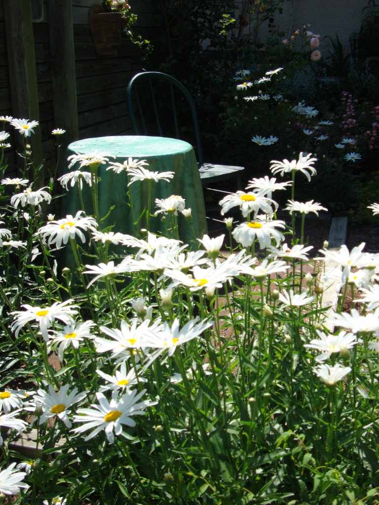 Another place to sit. 