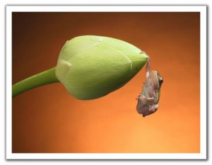 why some people won't get better