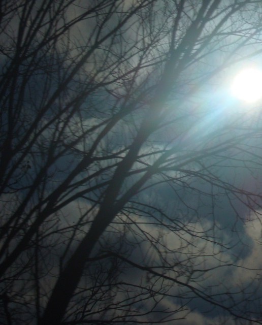 wordpress challenge picture.