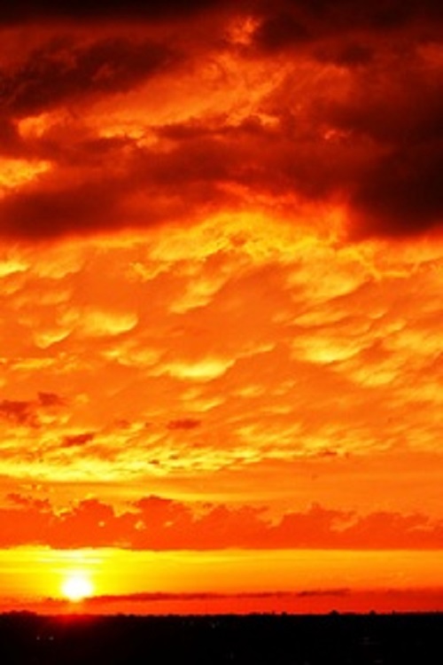 google images/yesterdays