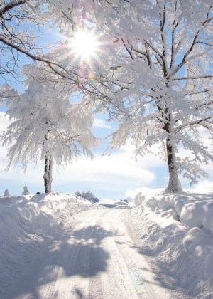 a beautiful winter's day | goodthoughtsgoodlives a beautiful winter's day