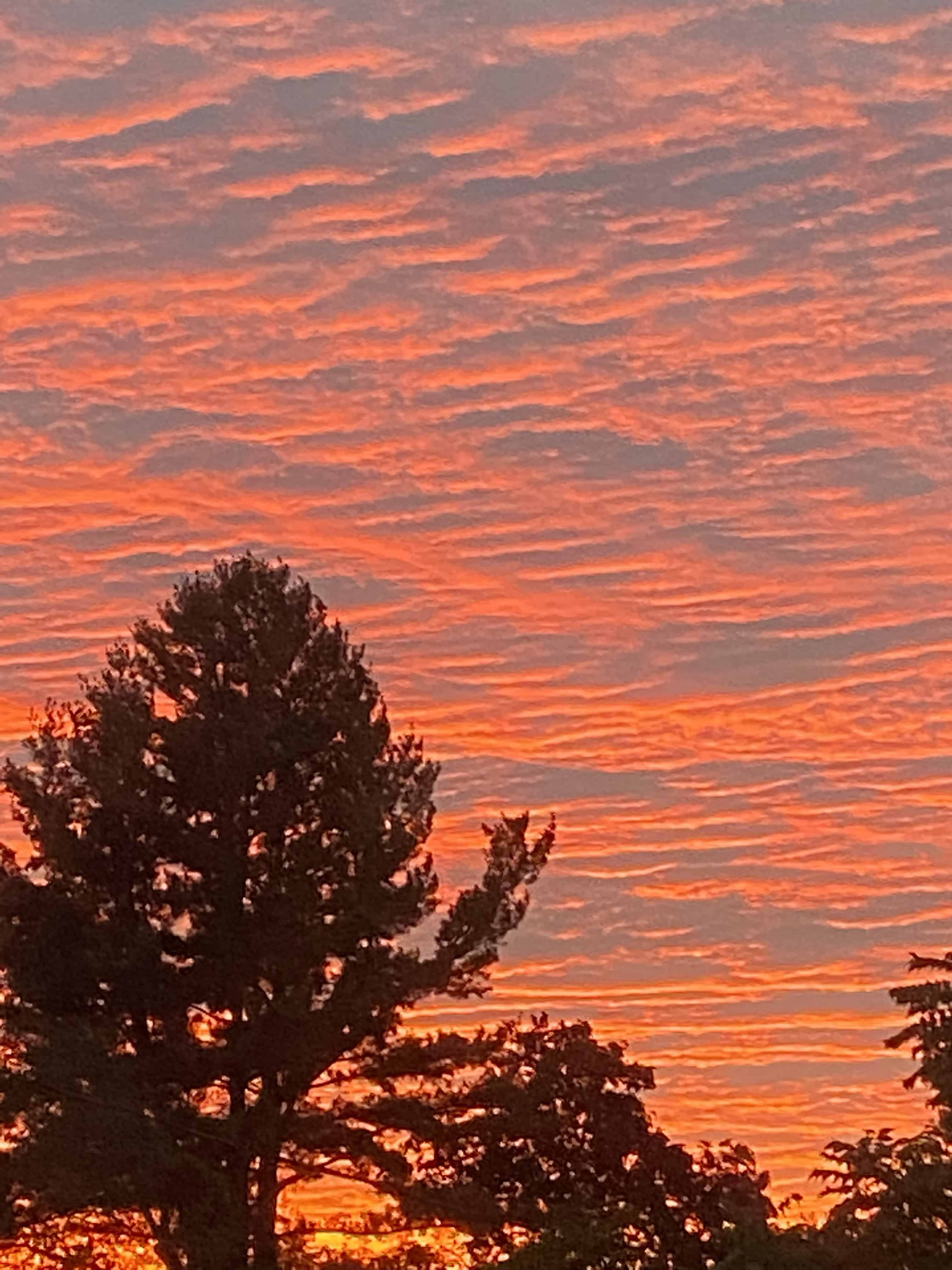 horizon, incubation is good