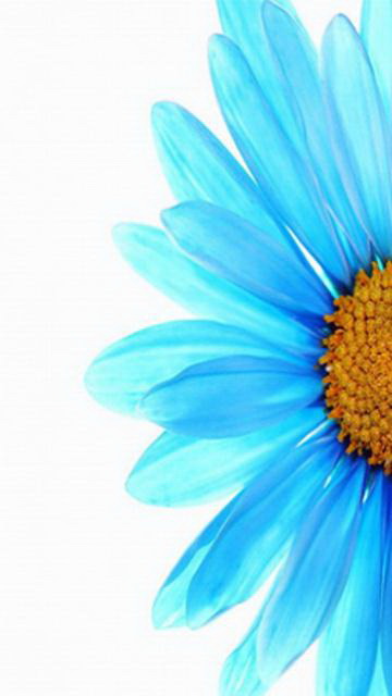 grace | goodthoughtsgoodlives