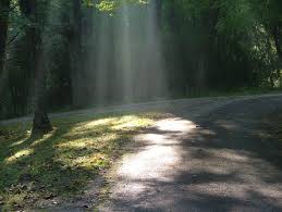 light along our path | goodthoughtsgoodlives