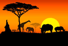Africa