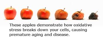 apples and aging | goodthoughtsgoodlives apples and aging