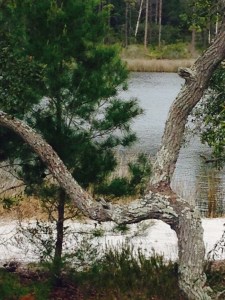 white sand | goodthoughtsgoodlives White sand