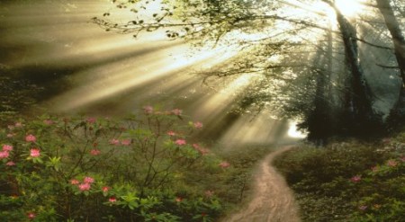 paths
