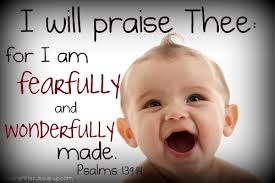 feafully and wonderfully made