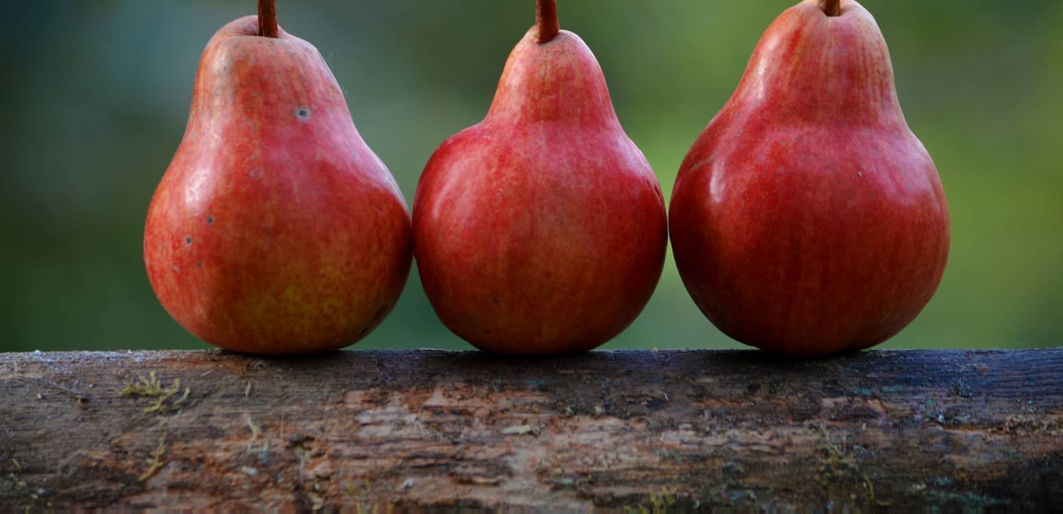 just because it looks good | goodthoughtsgoodlives just because it looks good