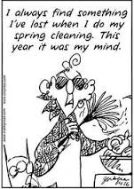 funny house cleaning