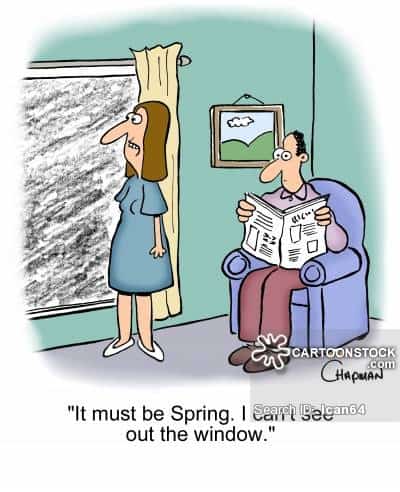 'It must be Spring. I can't see out the window.'