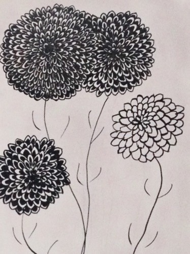 bl and white flowers