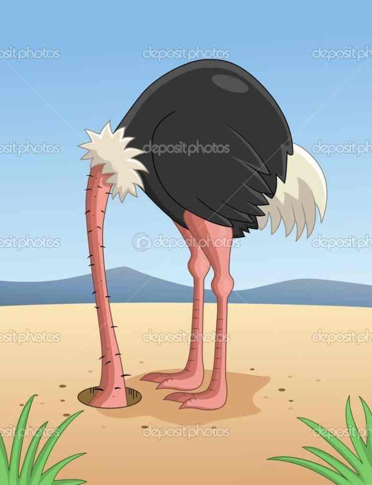 depositphotos_10365607-Ostrich-hiding-head-in-sand | goodthoughtsgoodlives depositphotos_10365607-Ostrich-hiding-head-in-sand