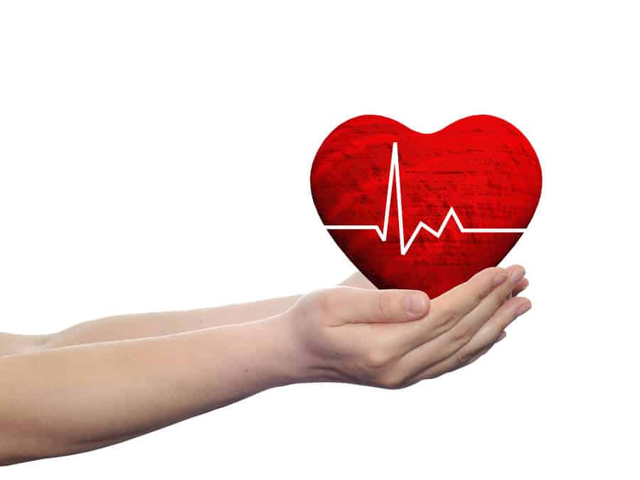 health is in your hands