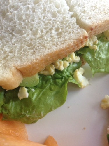 egg salad avocado sandwich