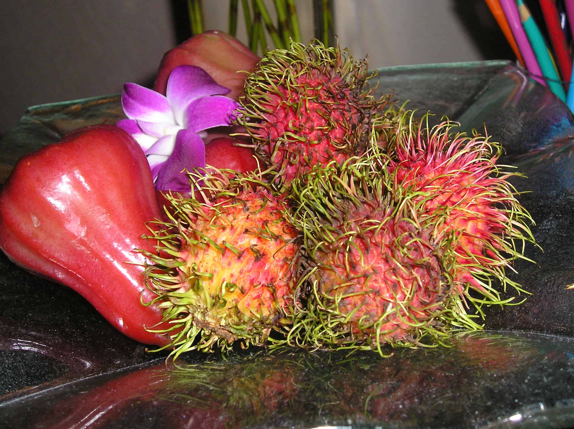 week-in review/ August