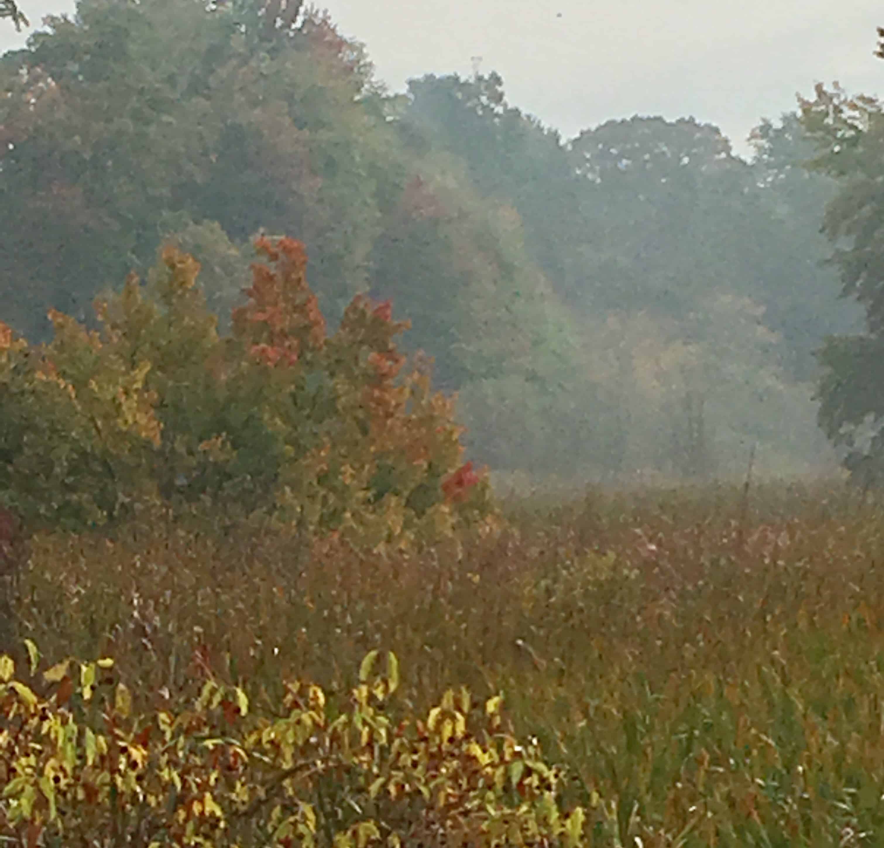 Why I needed Bob Seeger this morning