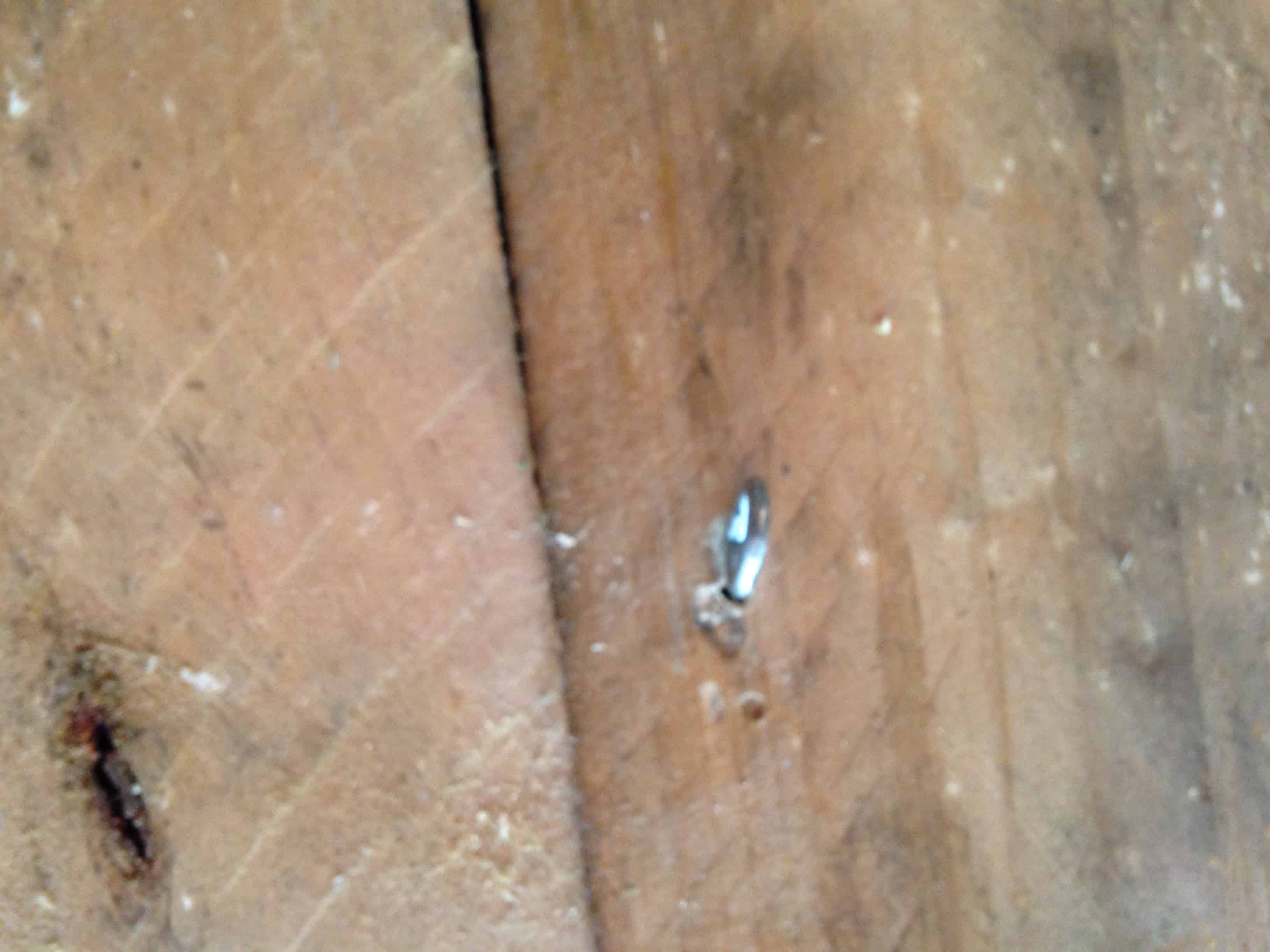 blue-bowl-pallet-7/2017