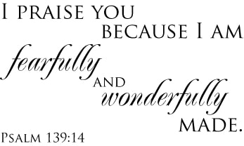 fearfully-and-wonderfully-made