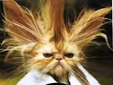 bad hair and depression