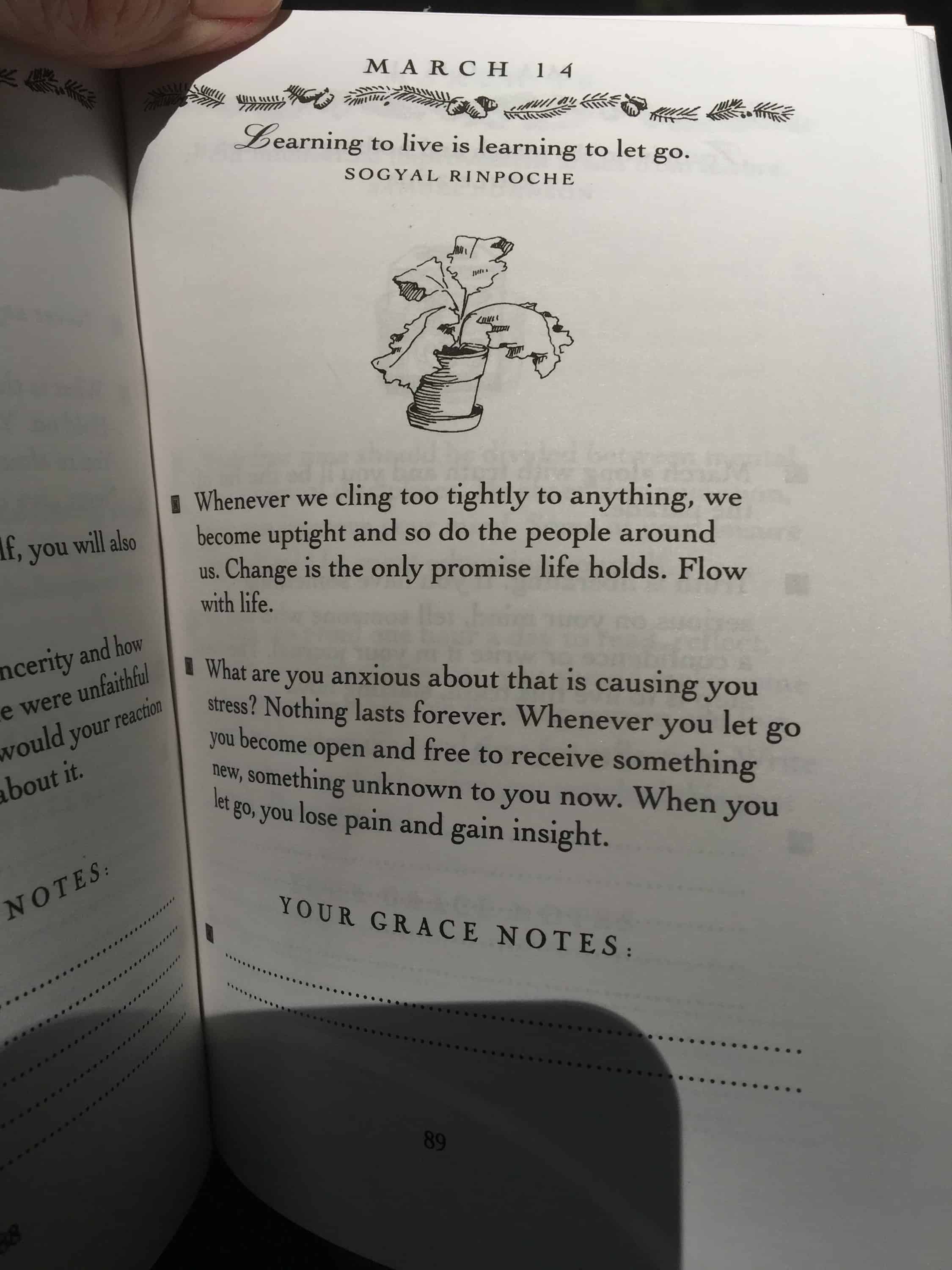 image | goodthoughtsgoodlives