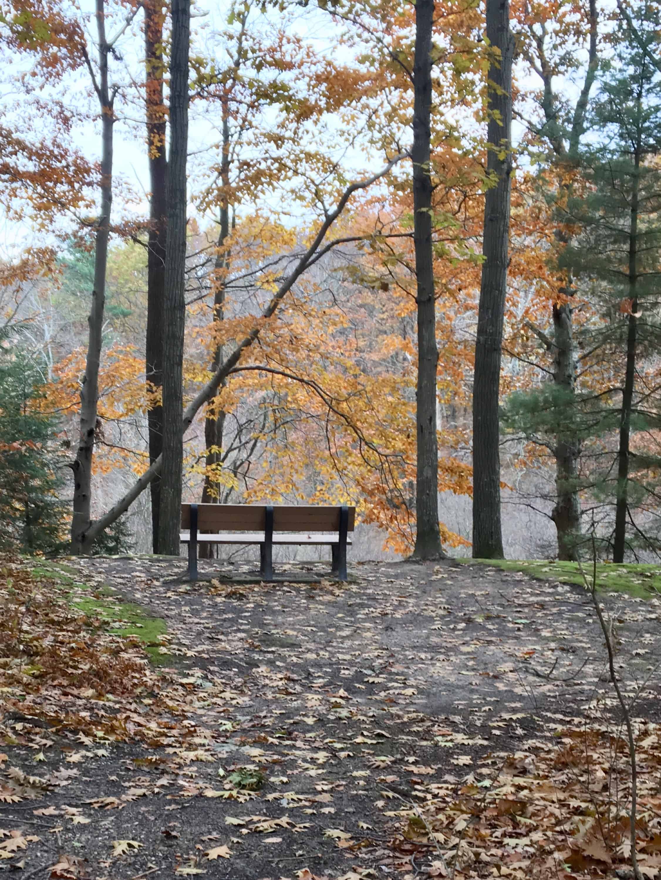 HOffmaster Park/fall/2017