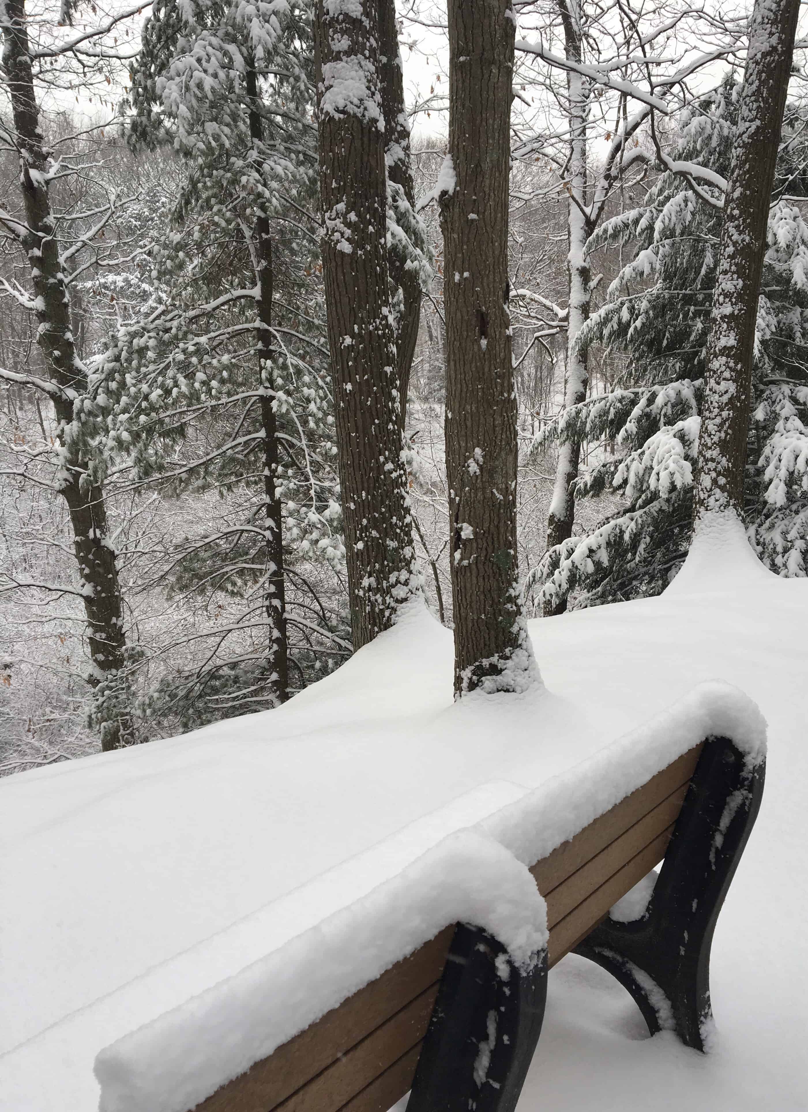 Our favorite "stopping" place in the winter