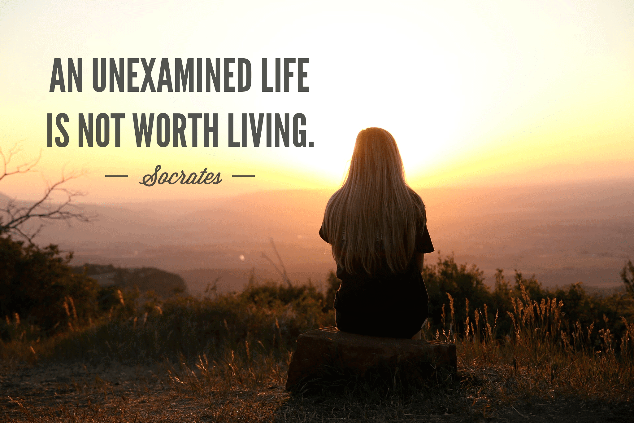 examined life socrates