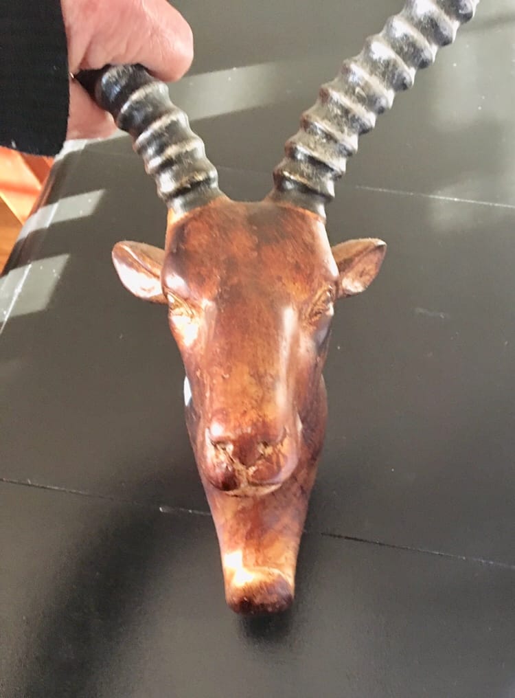 great find/deer head