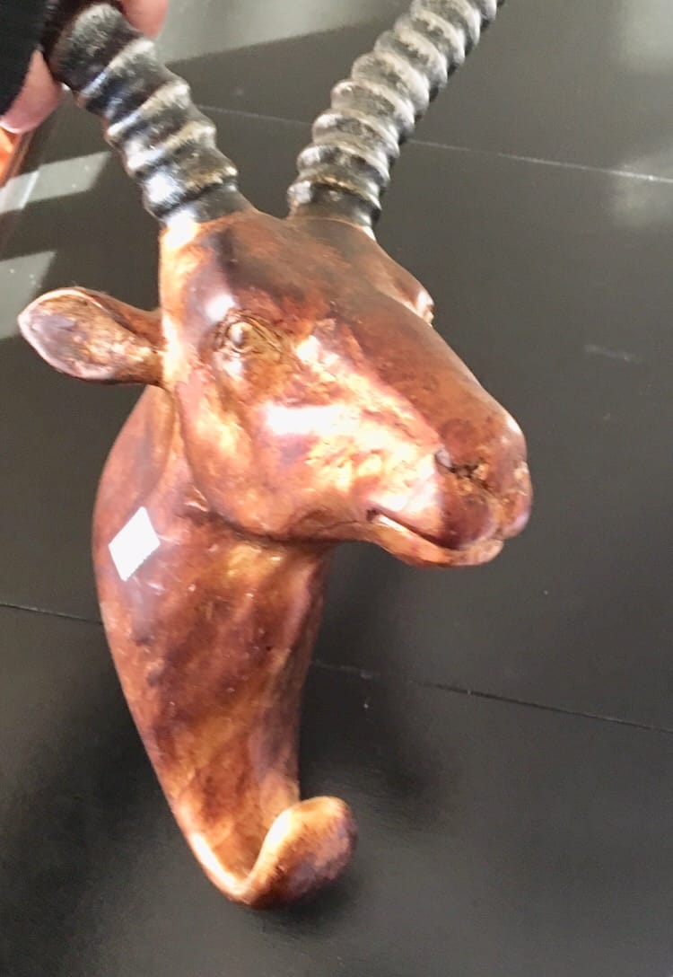 great find/deer head