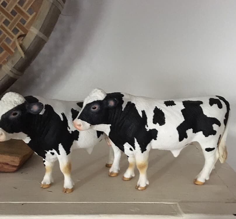 rummage sale bargins/thrift shopping