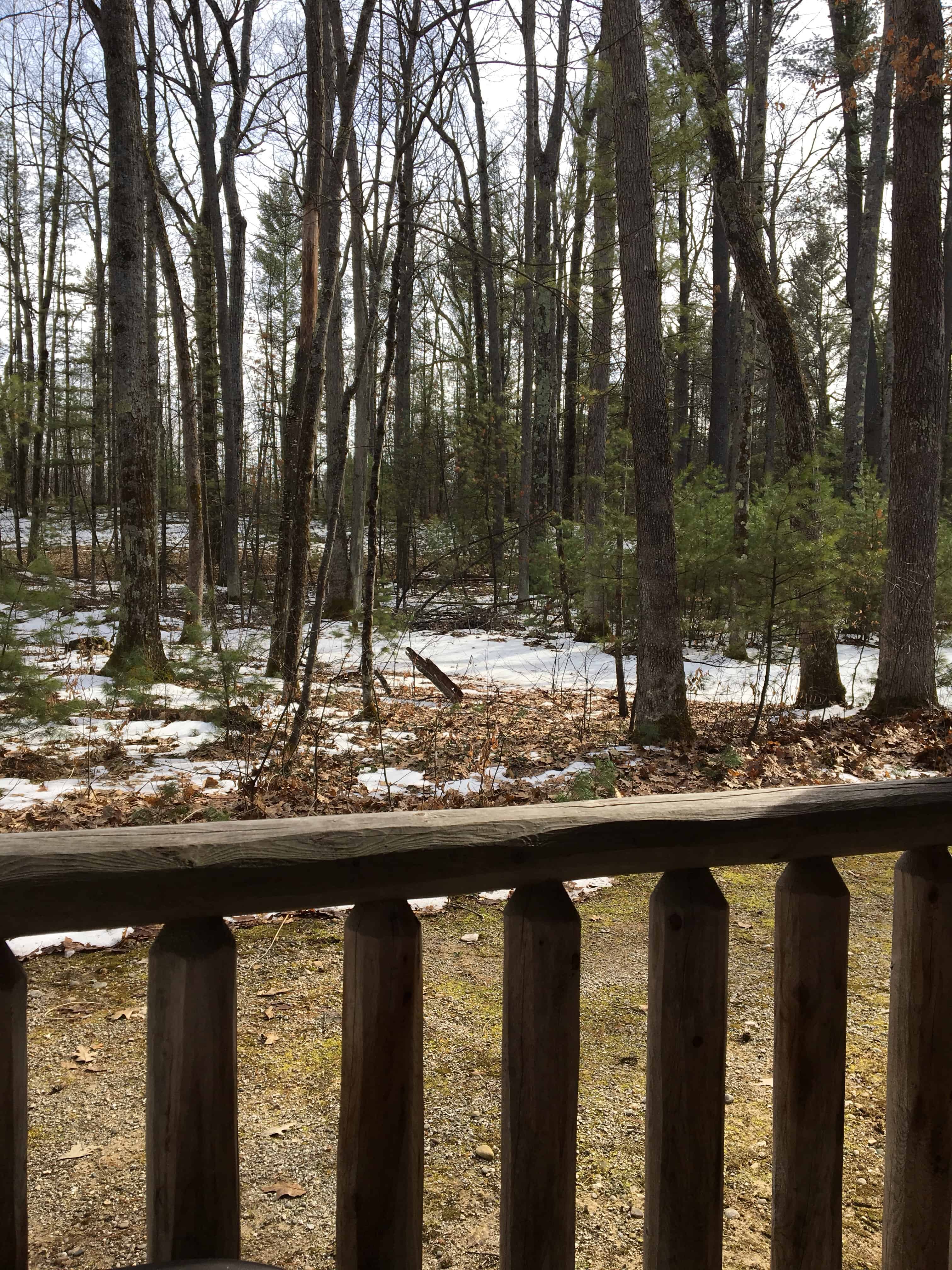 teeny tiny red cabin