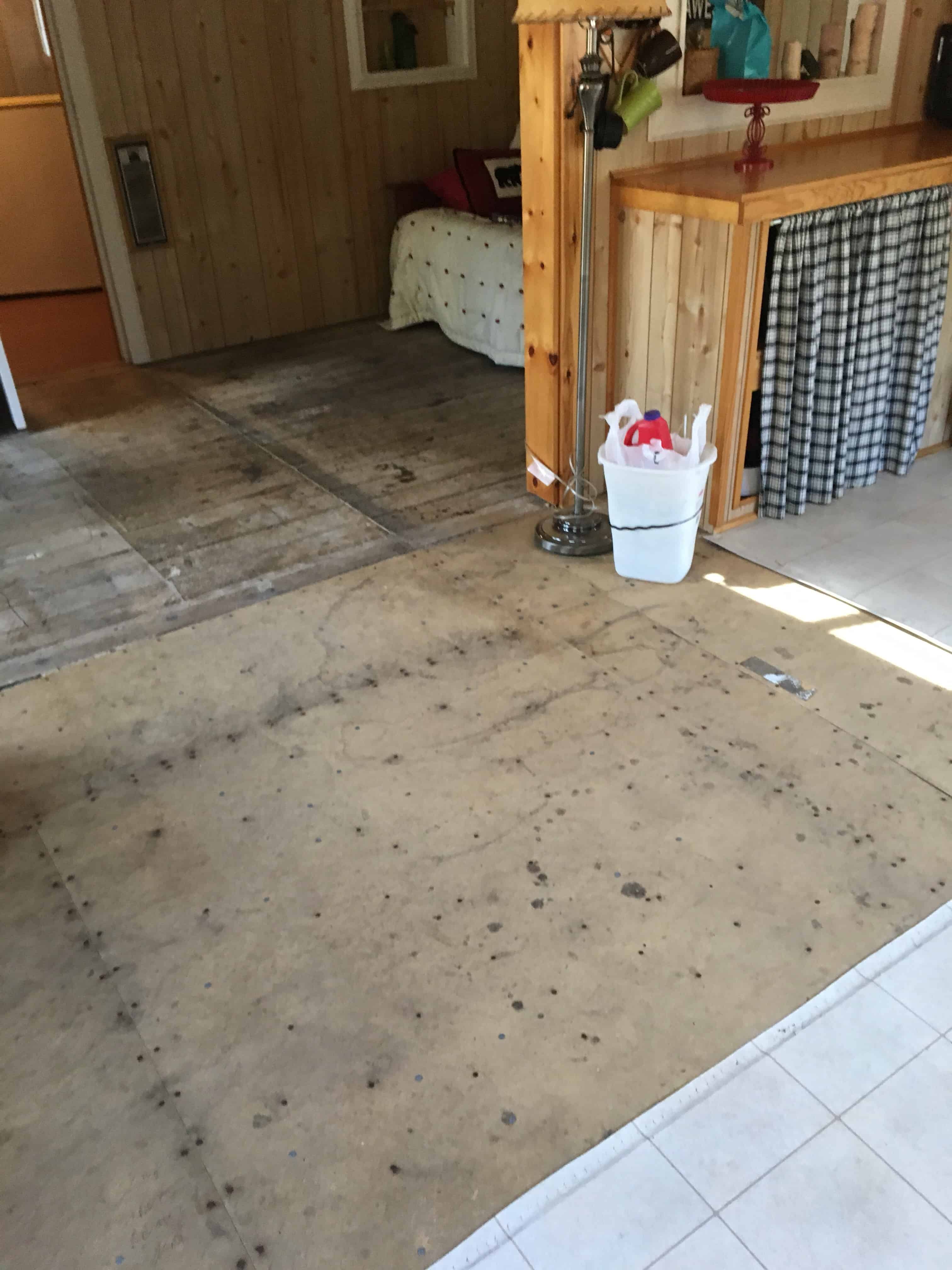 tearing up carpet/cabin