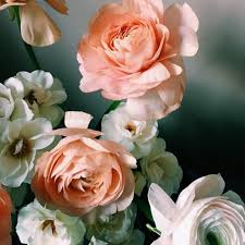 friendships/relationships/flowers