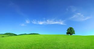 relationships/friendships