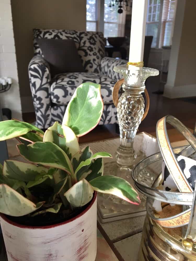 DIY/ coffee table/ living roomi