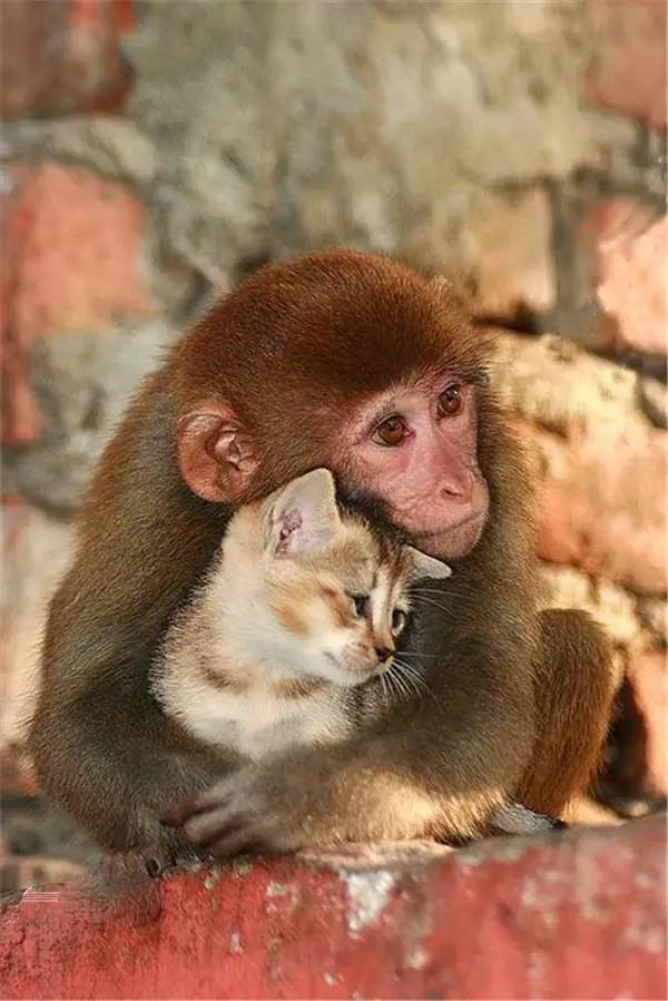 relationships/inspirational