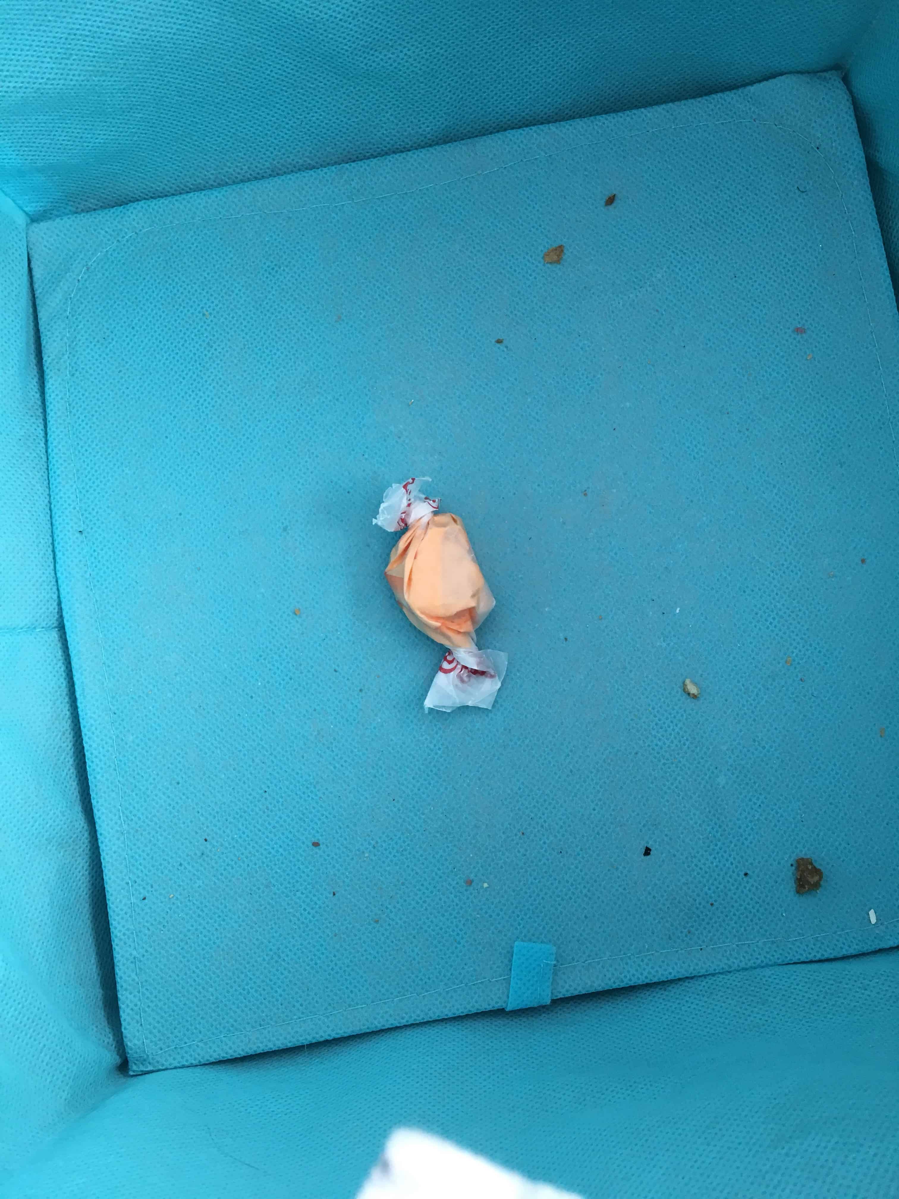 organizing/motivational