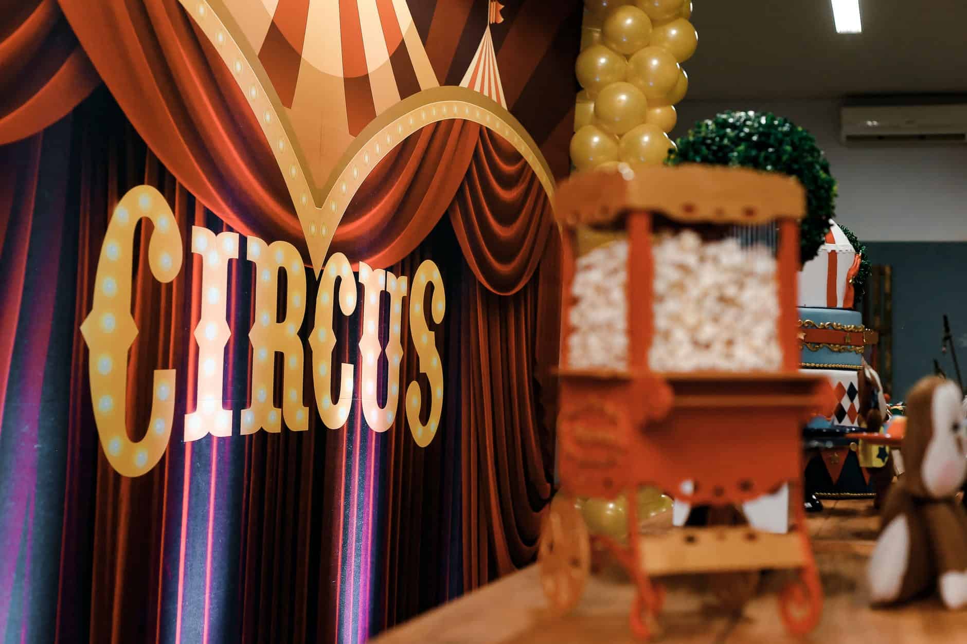 circus theme party/not your cirus
