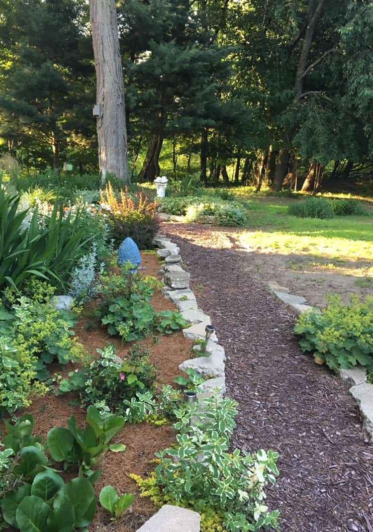 encouragement/ garden 2018