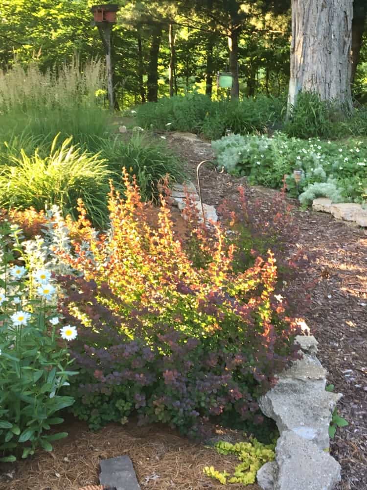 encouragement/ garden 2018