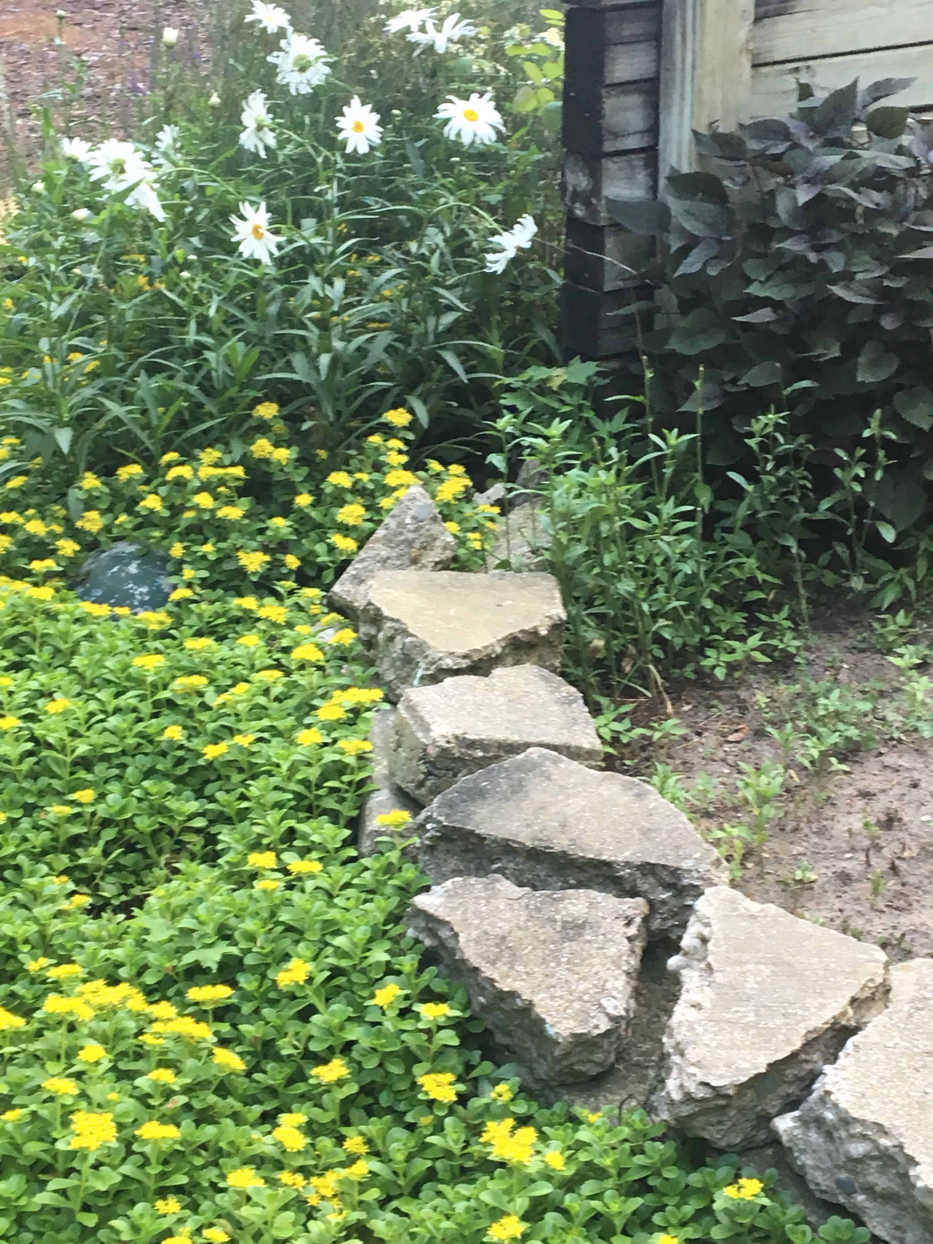 encouragement/ garden 2018