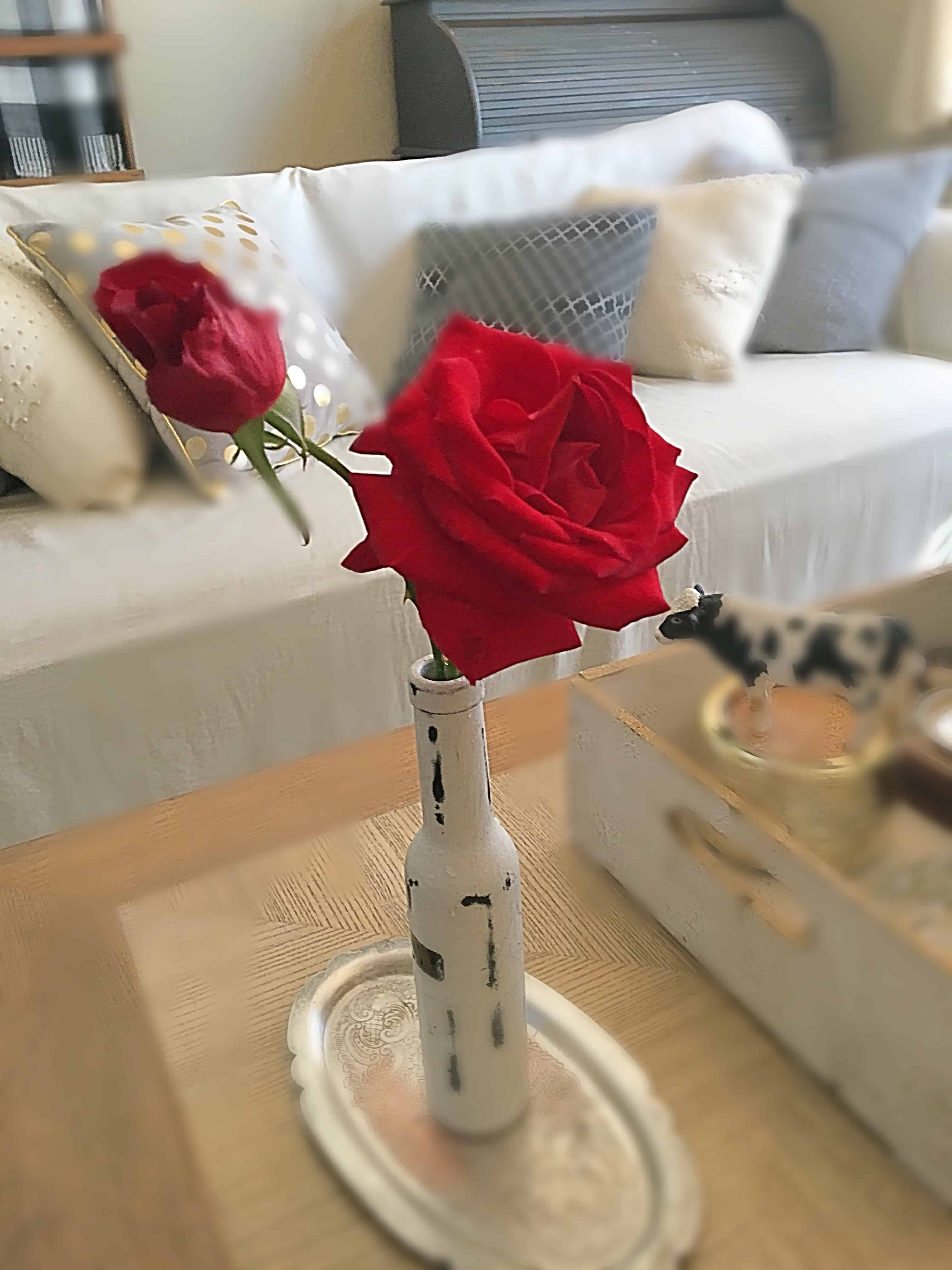 last rose/inspirational