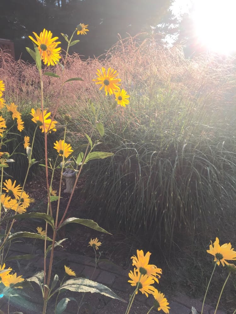 inspirational/encouragement