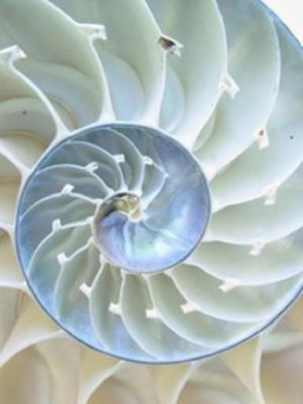 inspirational/thinking