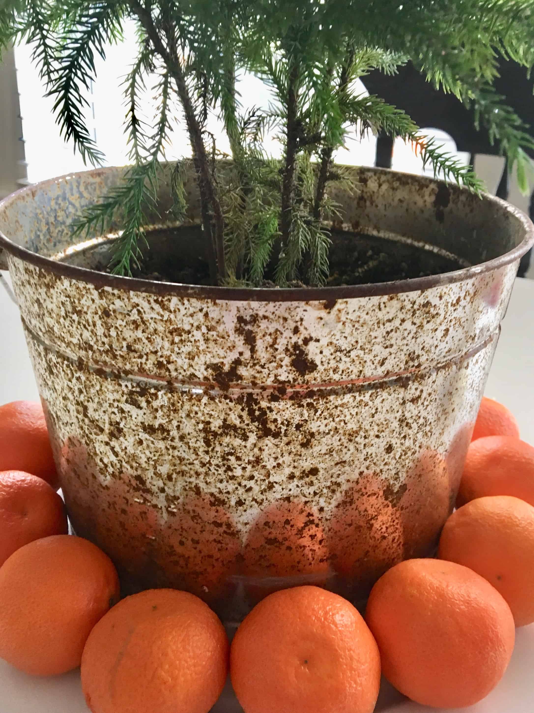 Christmas tablescape/decorating