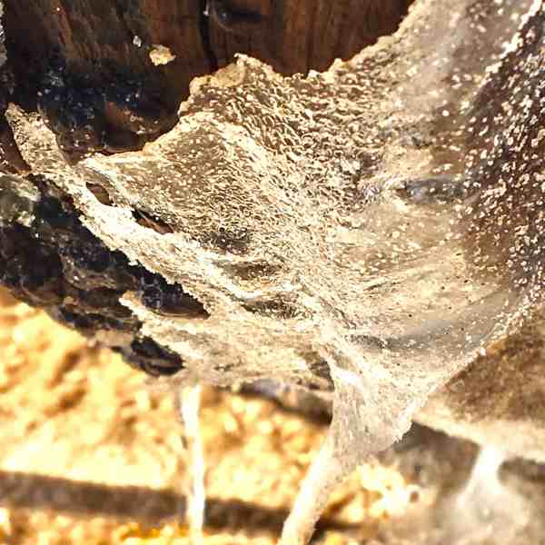 icescape/inspirational