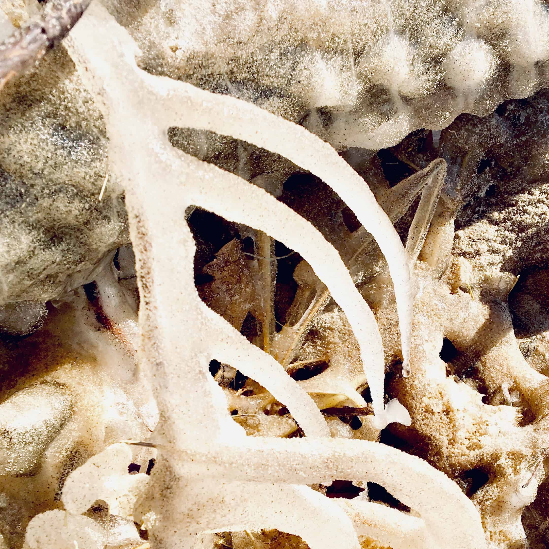 icescape/inspirational