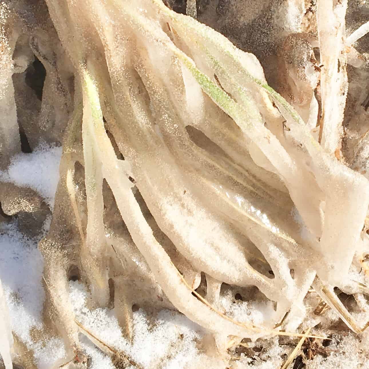 icescape/inspirational